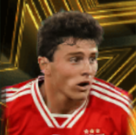 HPジョアンネヴェス(マッチパス)画像