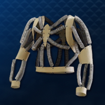 極道養成ギプス画像