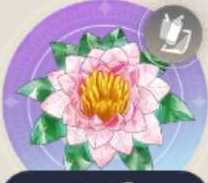 ハイリヒブルーメの画像