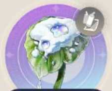 不凍のしずくの画像