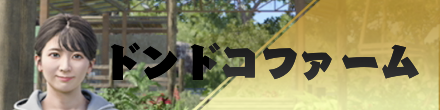 ドンドコファーム
