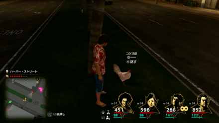 コケ次郎の場所