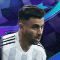 HPラシドゲザル(02/08)画像