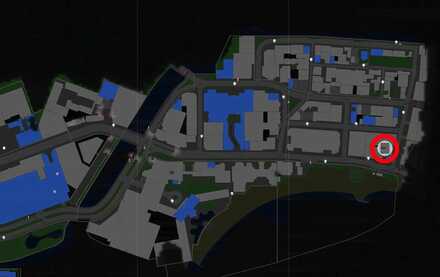 マダムの履物画像