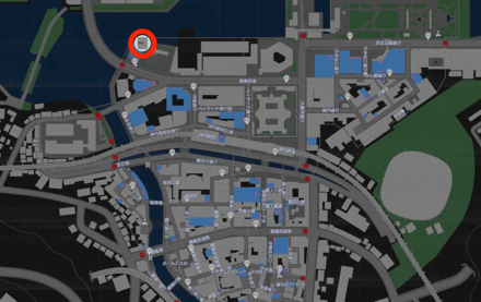 身代わりの石画像