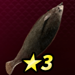 サーフヒラメ画像