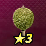 ドリアンマラカス画像