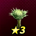 リコマラカス画像