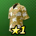 ビギニングアロハ画像