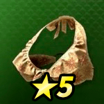 アロハビキニ画像