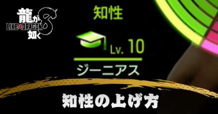 知性の上げ方