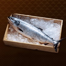 海のめぐみ画像