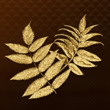 極上ハーブ画像