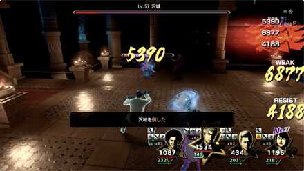 真・応龍の極みのダメージ