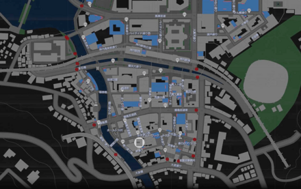 VIPのサングラス画像