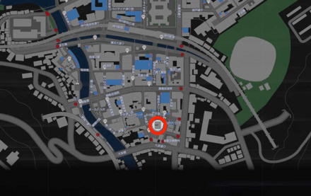 理性の手鏡画像