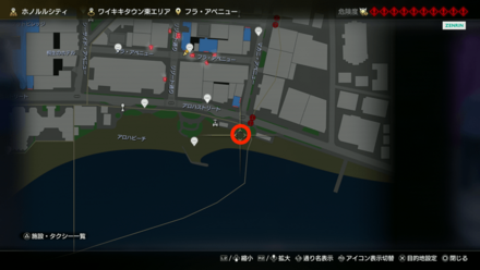 デザインイヤリング画像