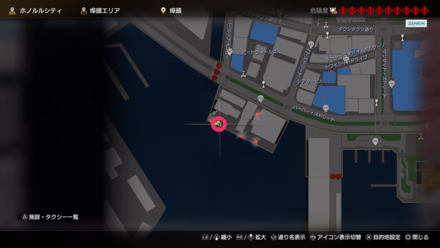 パイレーツハット画像