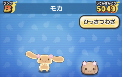 ぷにぷにのモカ