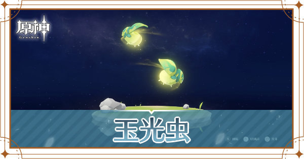 玉光虫の入手場所と使い道