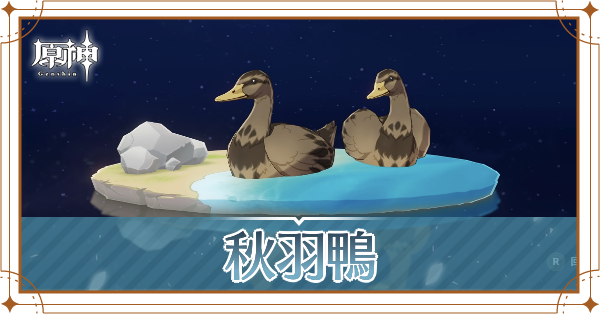 秋羽鴨の入手場所と使い道