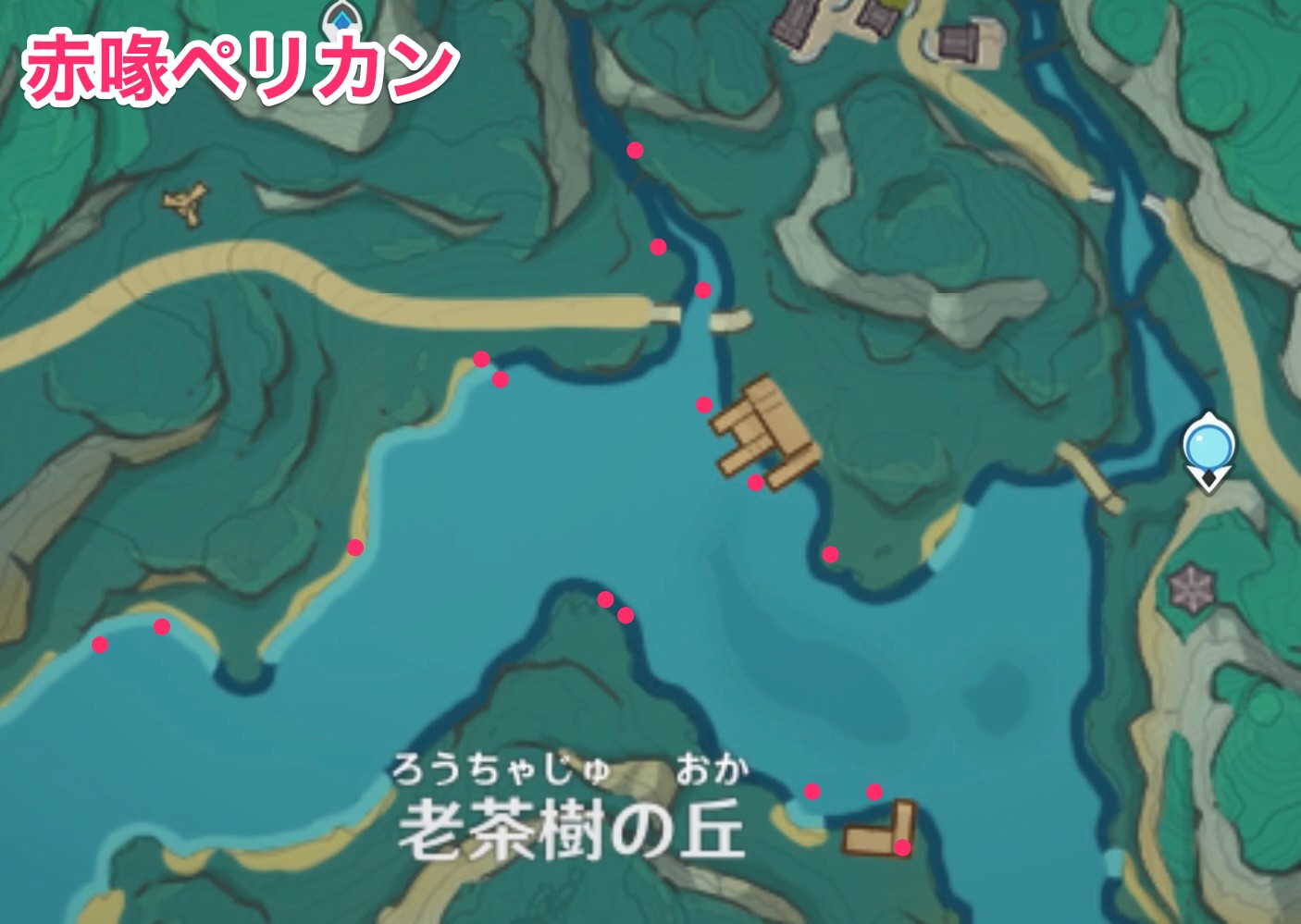 赤喙ペリカンのマップ画像