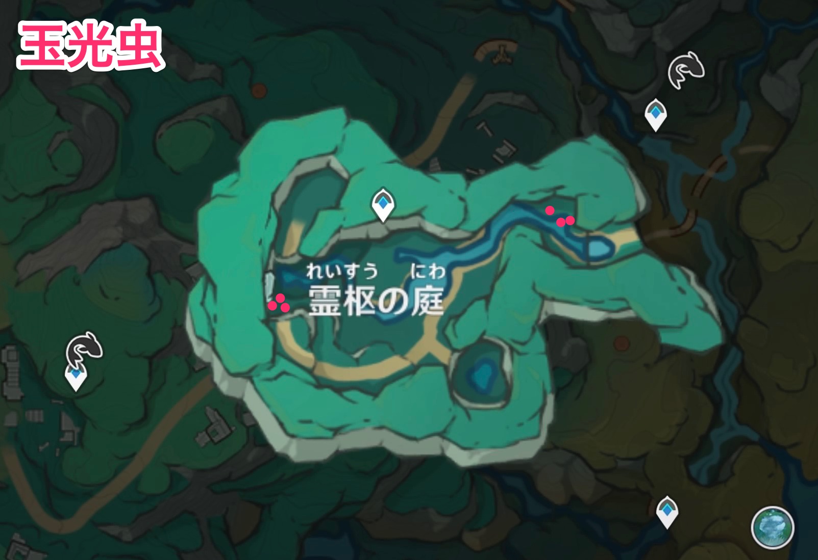 玉光虫のマップ画像