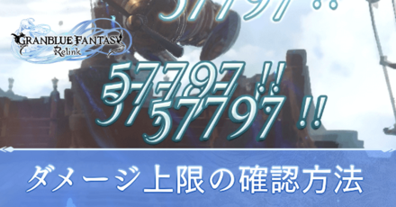 ダメージ上限の確認方法