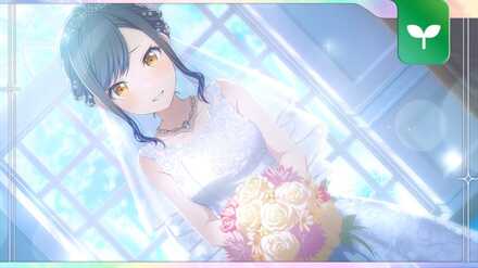 純白に身を包んで