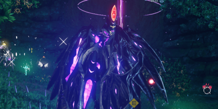 ディンドの画像