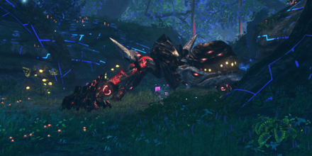 ラヴィードの画像