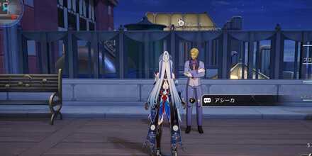 アシーカ見た目