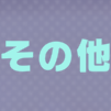 その他