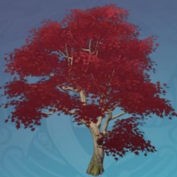 秋月紅霜葉の画像