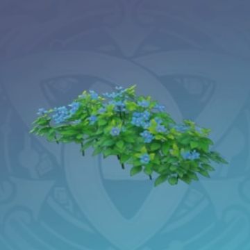 華を添える低木-「港の霞」の画像