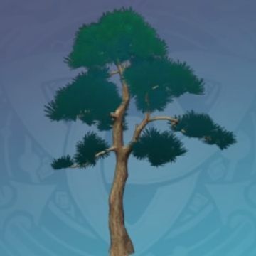 懸練山の剣骨の画像