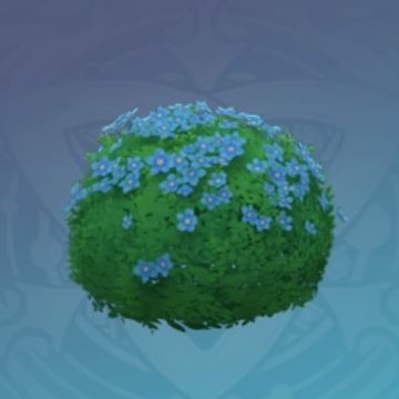 観賞用の低木-「ルキナの水色」の画像