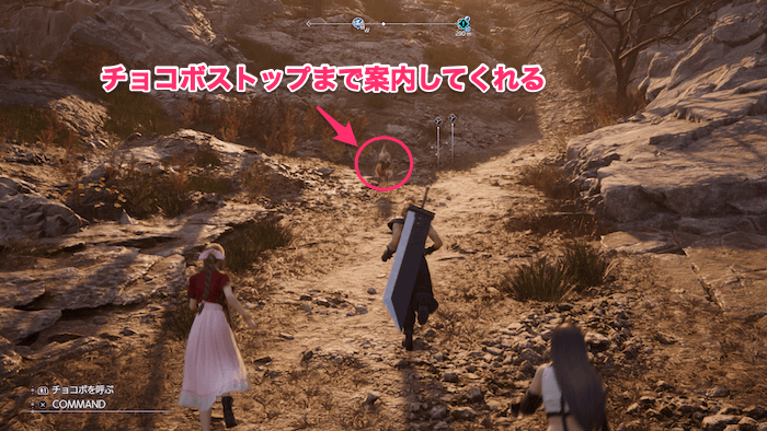 白いチョコボ