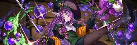 【10983】紫果精・グレーシス