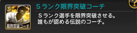 Sランク限界突破　画像