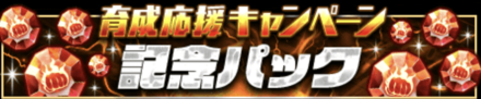 「新拳魂登場＆育成応援キャンペーン」パック