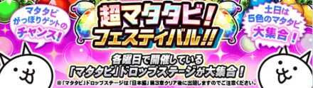 超マタタビフェスティバル