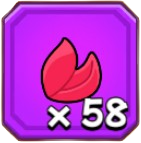 きれいな花びら