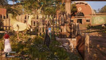 チョコボ車乗り場