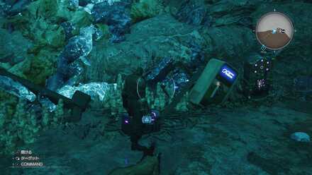 リベリオンカラー