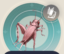 ソプラノコオロギの画像