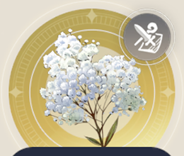 カスミソウの画像