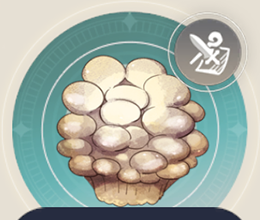 群体きのこの画像