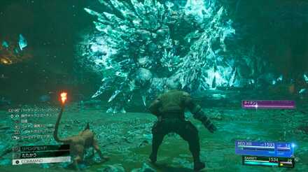 後半は腕と背中を破壊する