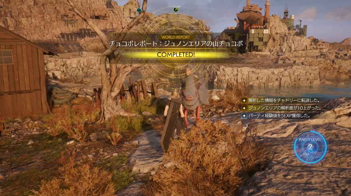 チョコボレポート